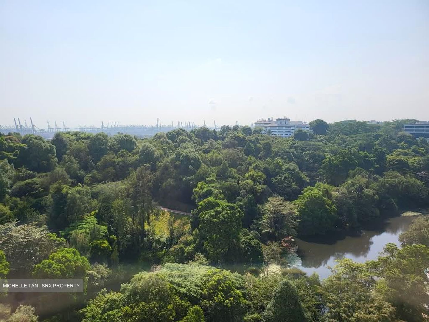 Normanton Park (D5), Apartment #572198031